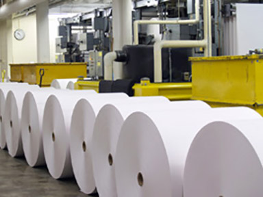 Papier- und Verpackungsindustrie